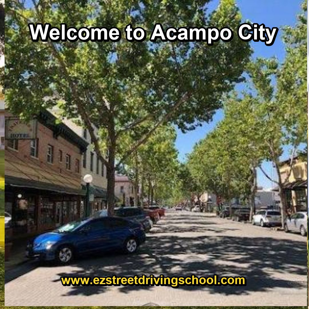 Driving Lessons in Acampo
