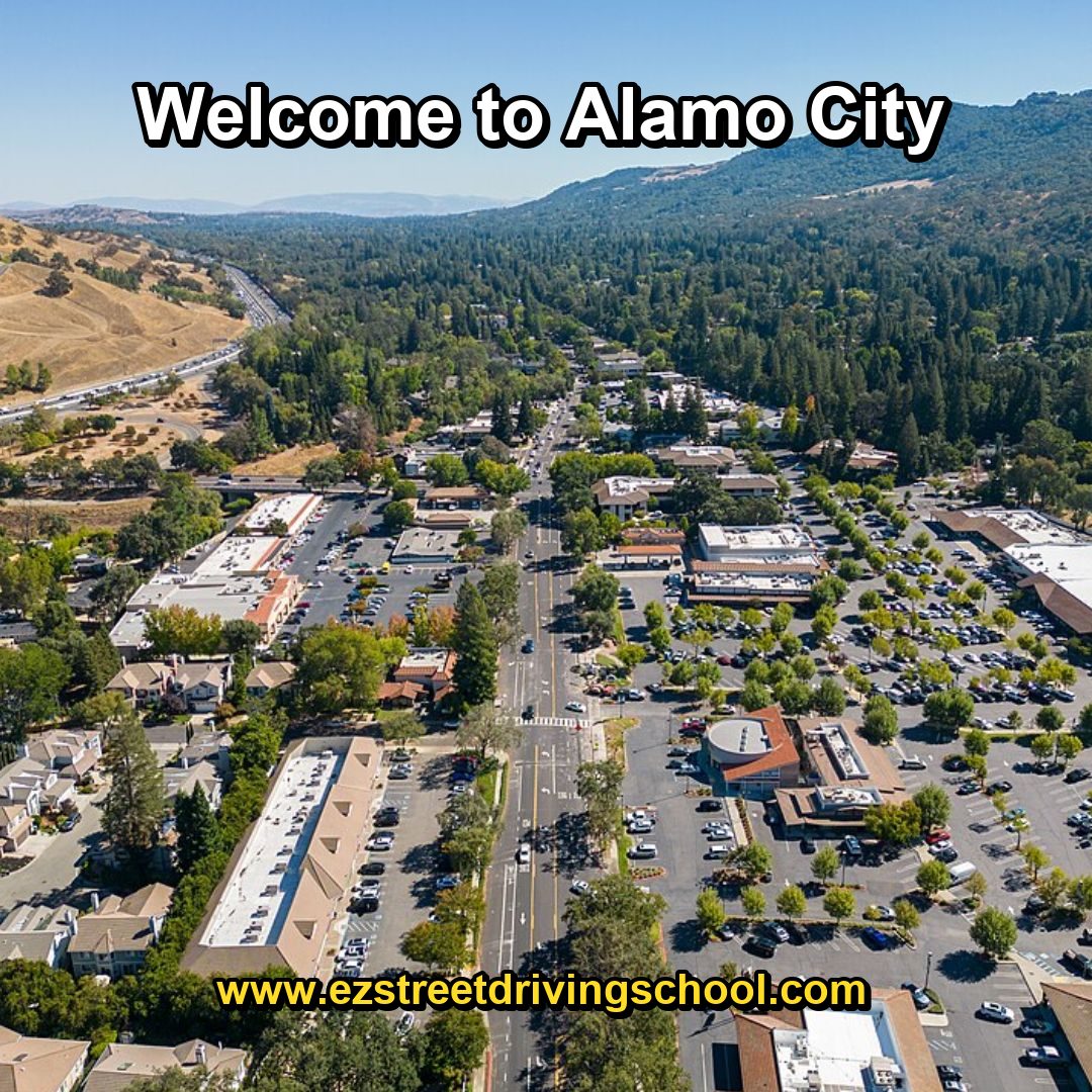 Driving Lessons in Alamo