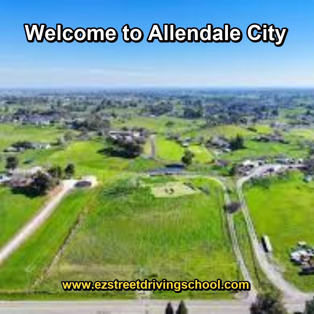 Driving Lessons in Allendale