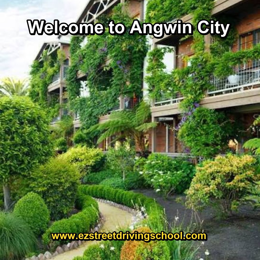 Driving Lessons in Angwin
