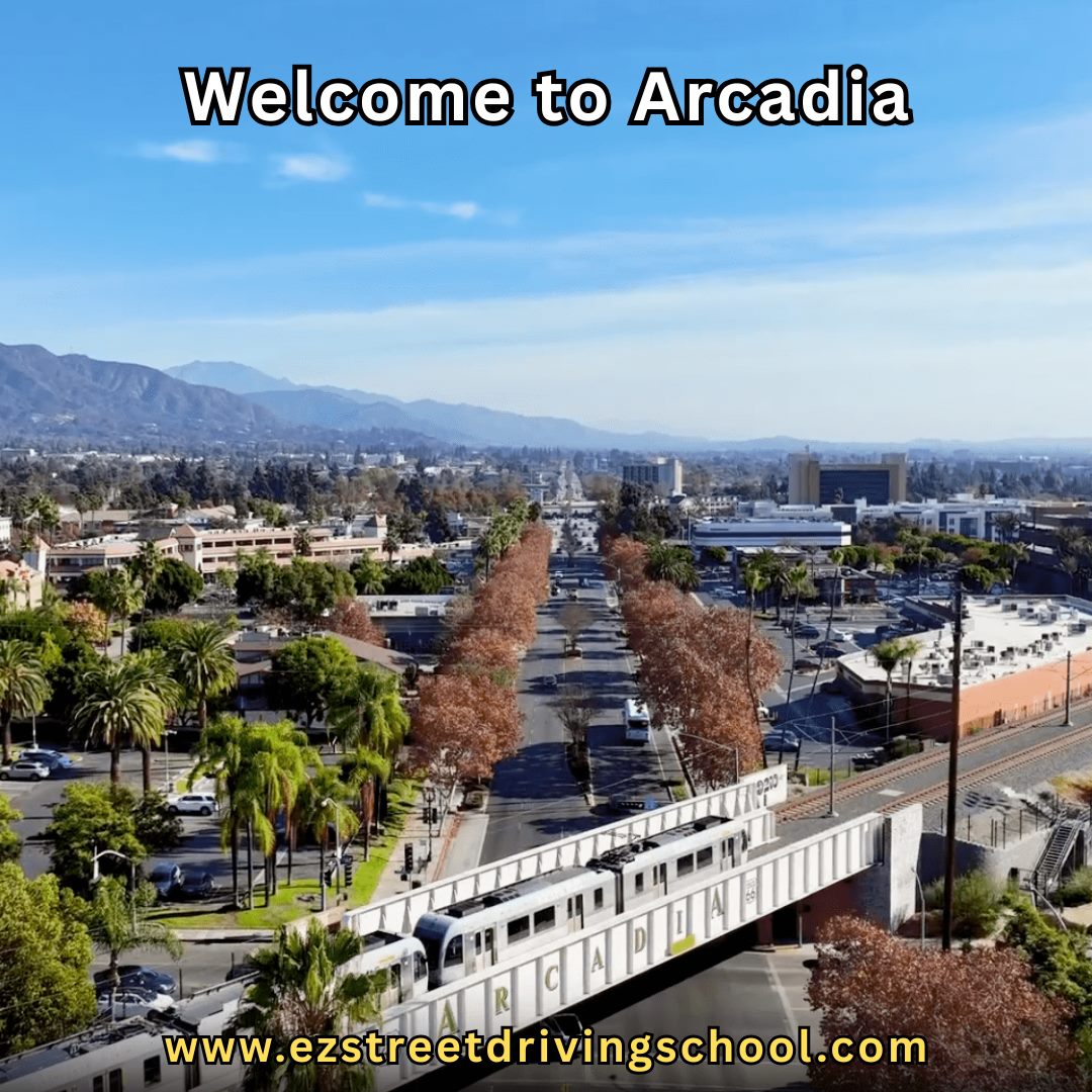 Driving Lessons in Arcadia
