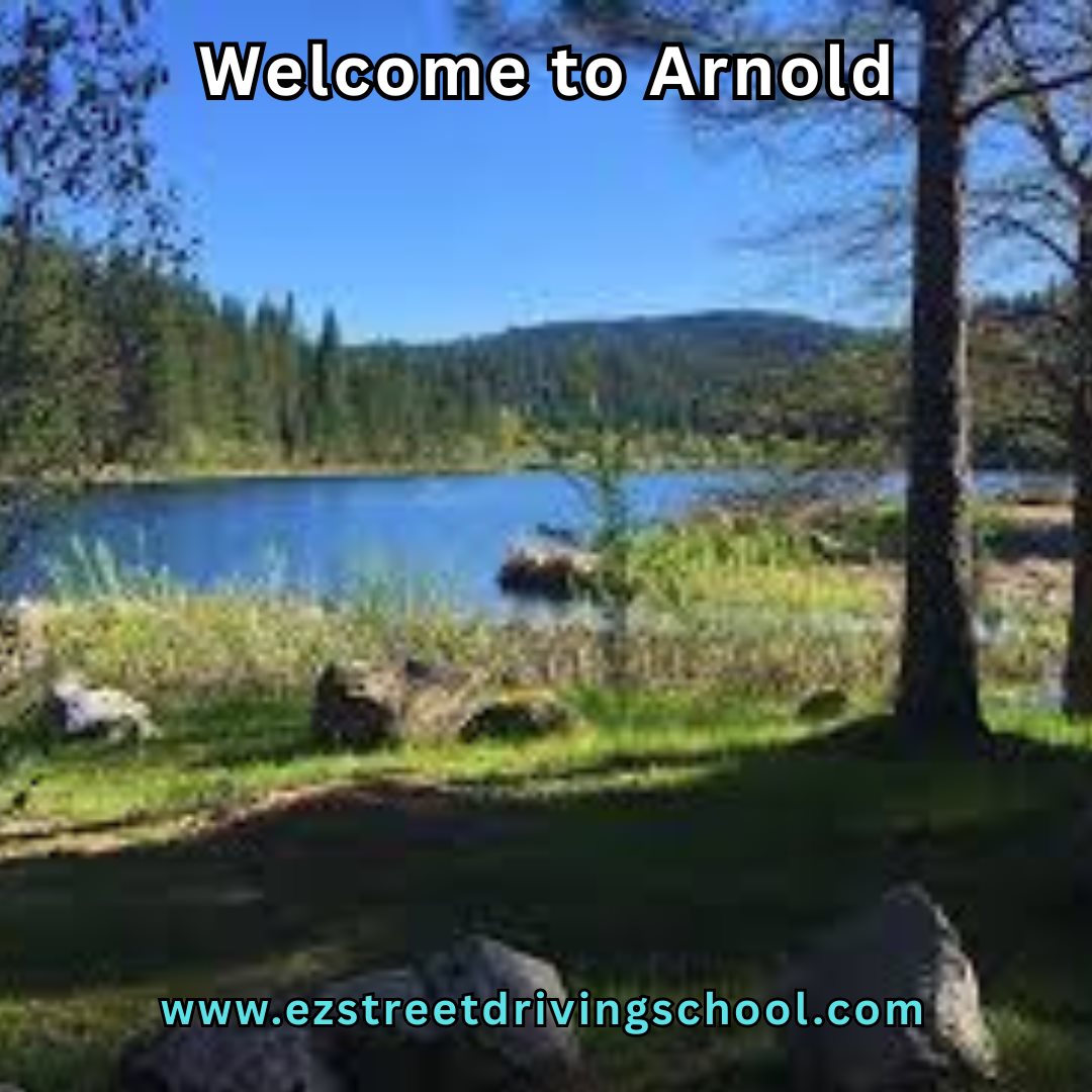 Driving Lessons in Arnold