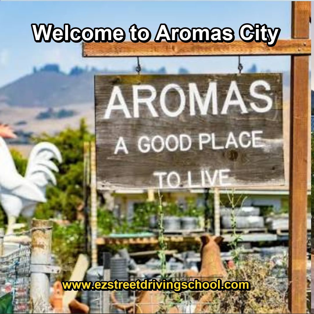 Driving Lessons in Aromas