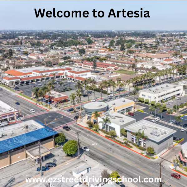 Driving Lessons in Artesia