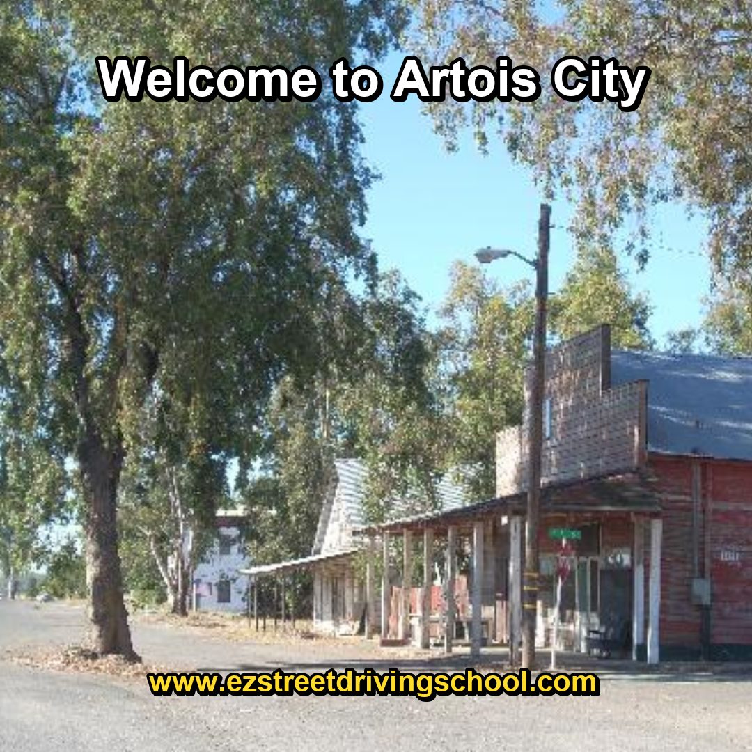 Driving Lessons in Artois