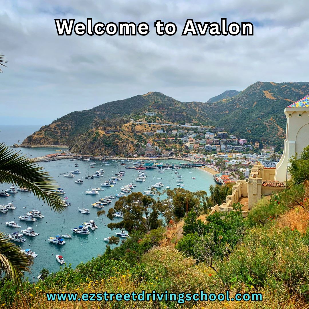 Driving Lessons in Avalon