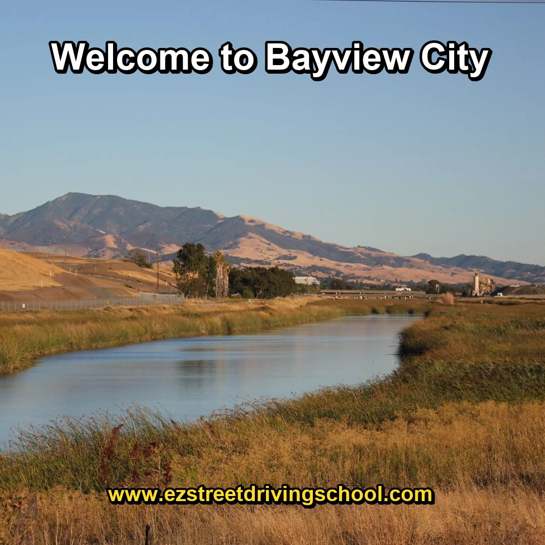 Driving Lessons in Bayview