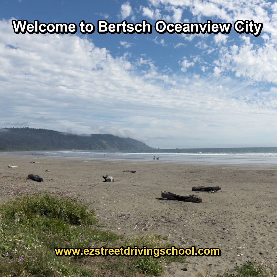 Driving Lessons in Bertsch-Oceanview