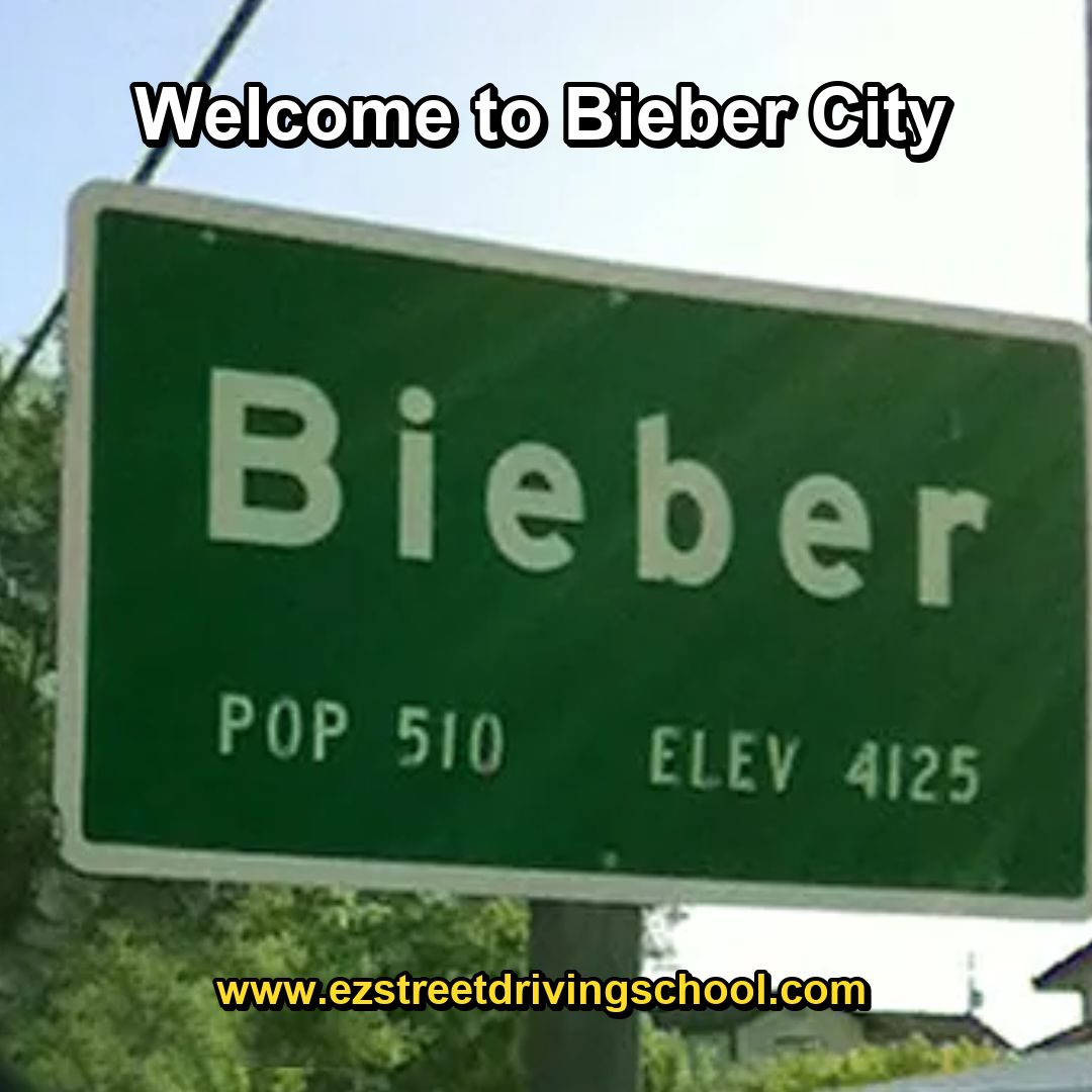 Driving Lessons in Bieber