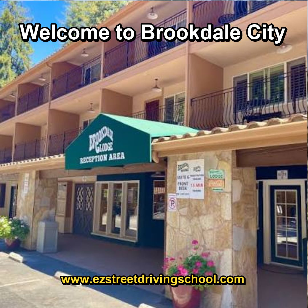 Driving Lessons in Brookdale