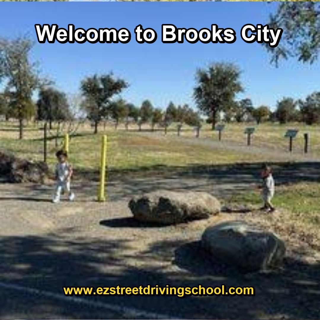 Driving Lessons in Brooks