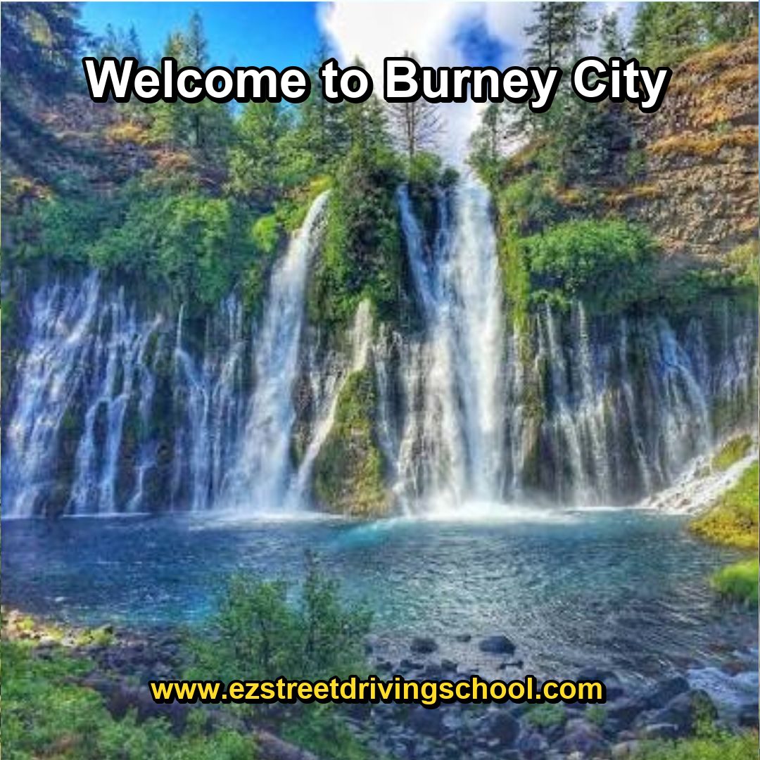 Driving Lessons in Burney