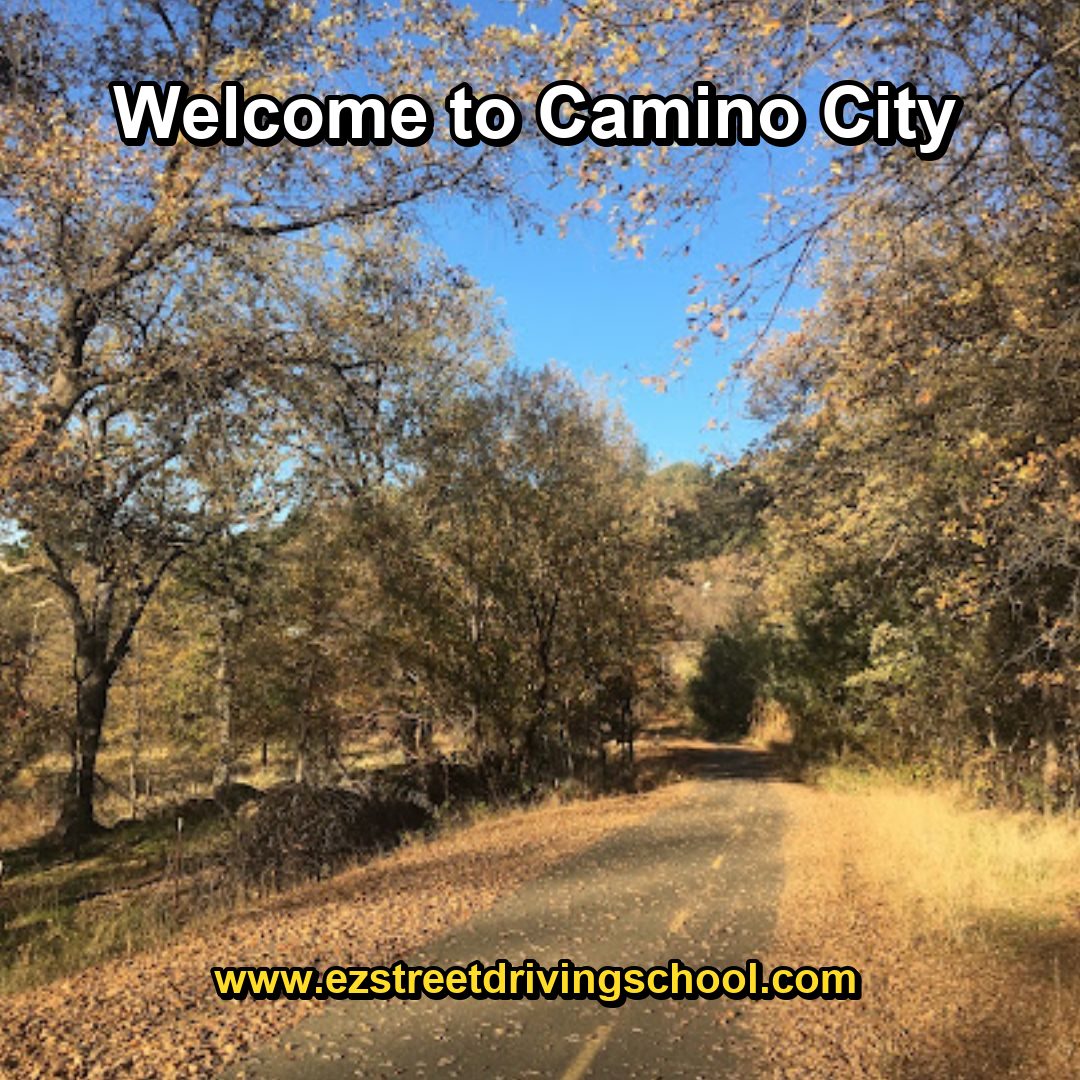 Driving Lessons in Camino