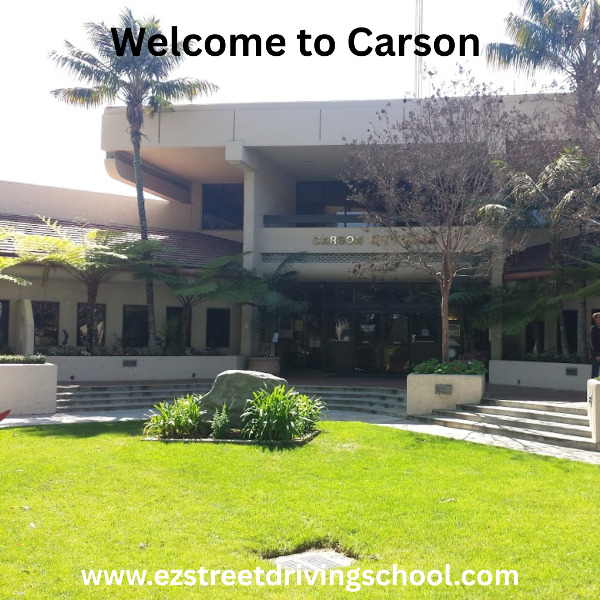 Driving Lessons in Carson