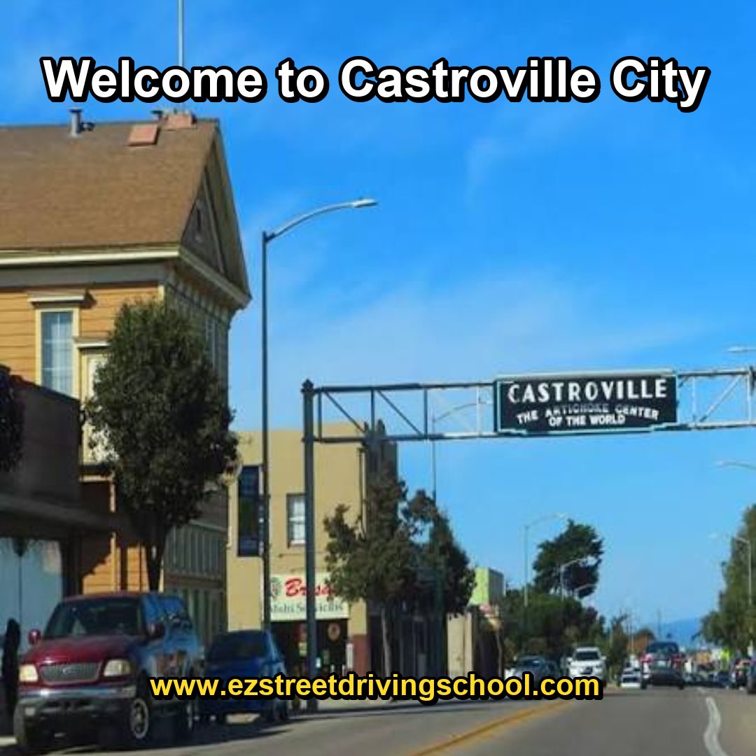 Driving Lessons in Castroville