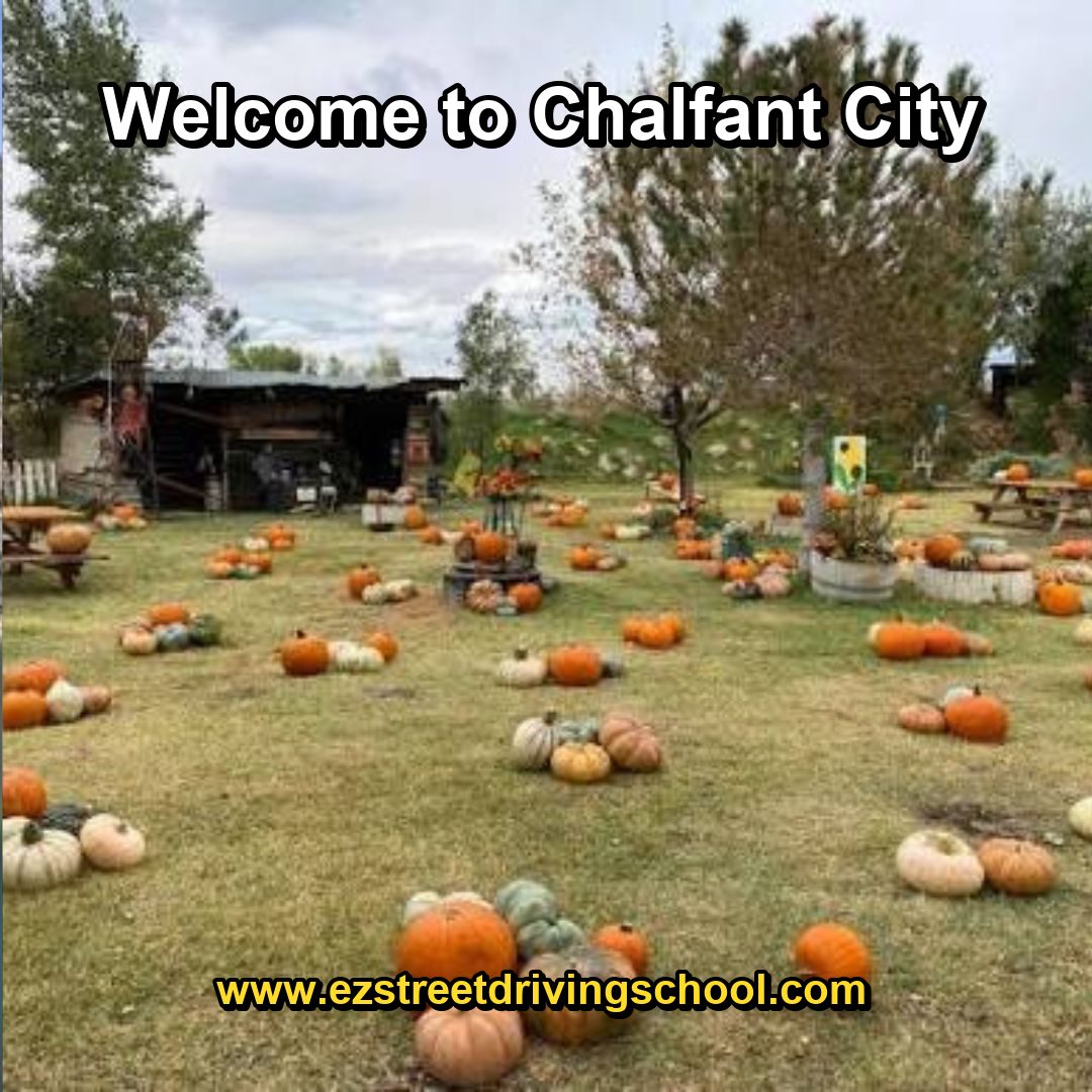 Driving Lessons in Chalfant