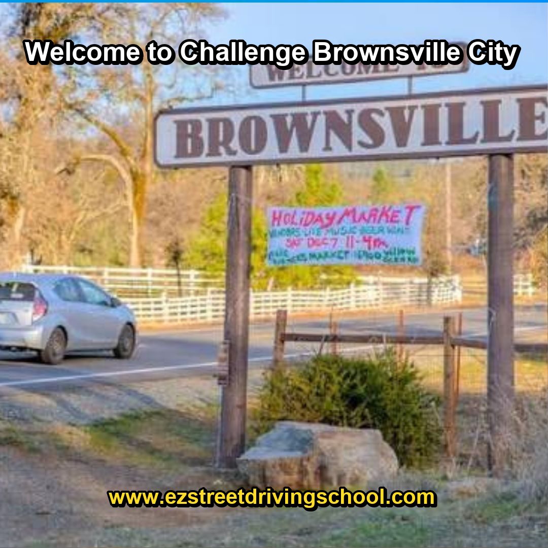 Driving Lessons in Challenge-Brownsville