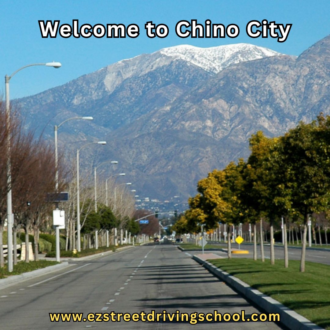 Driving Lessons in Chino