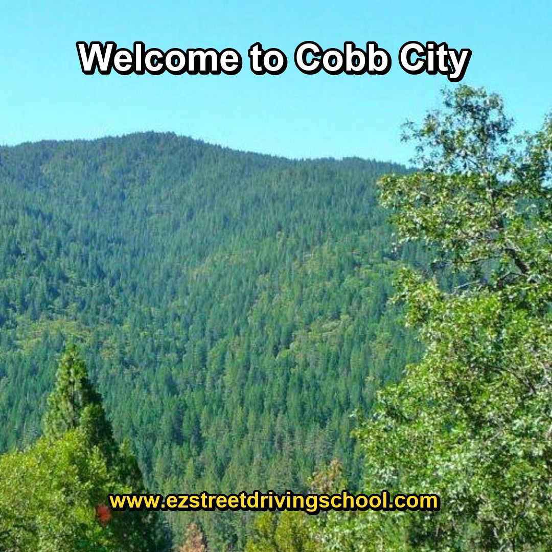 Driving Lessons in Cobb