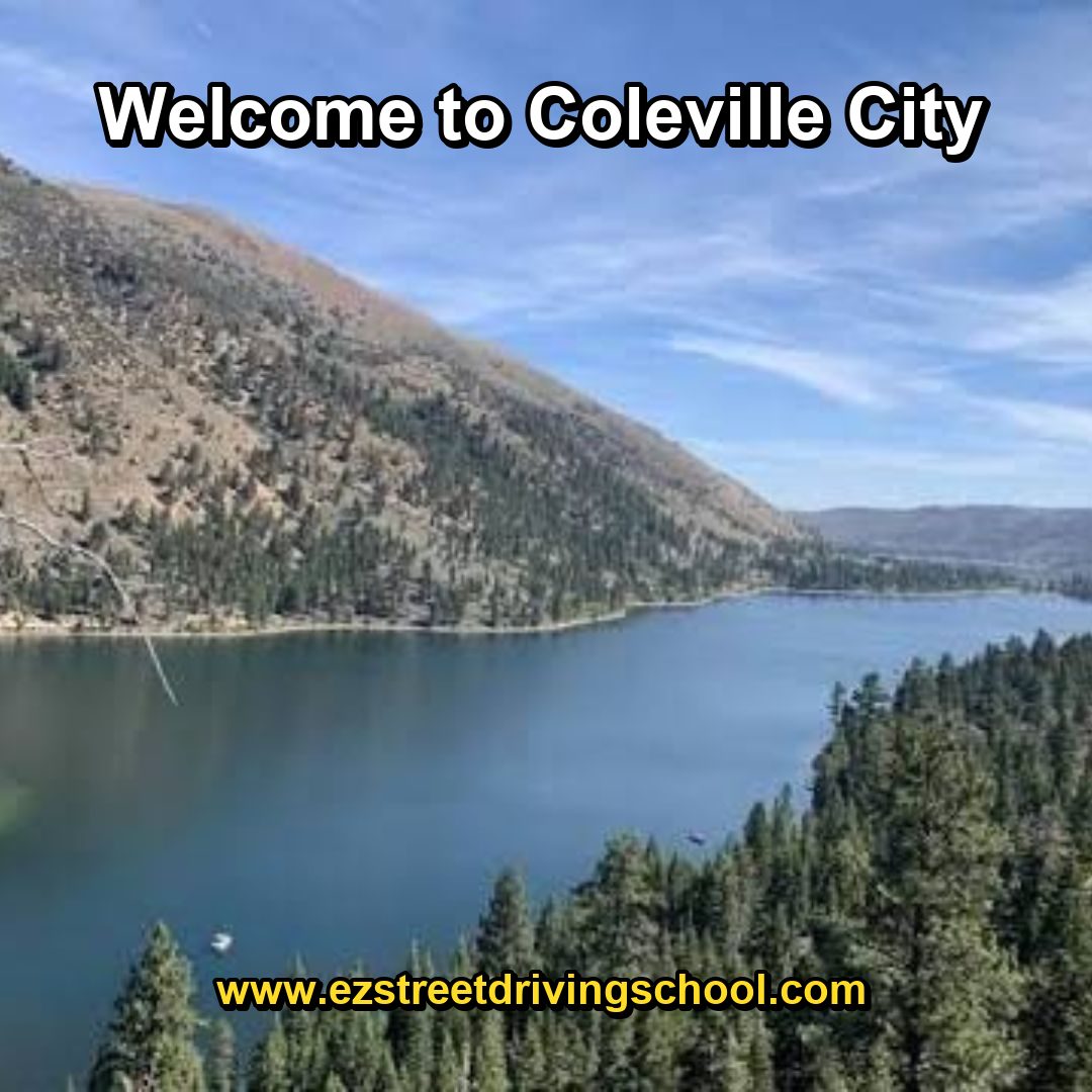Driving Lessons in Coleville