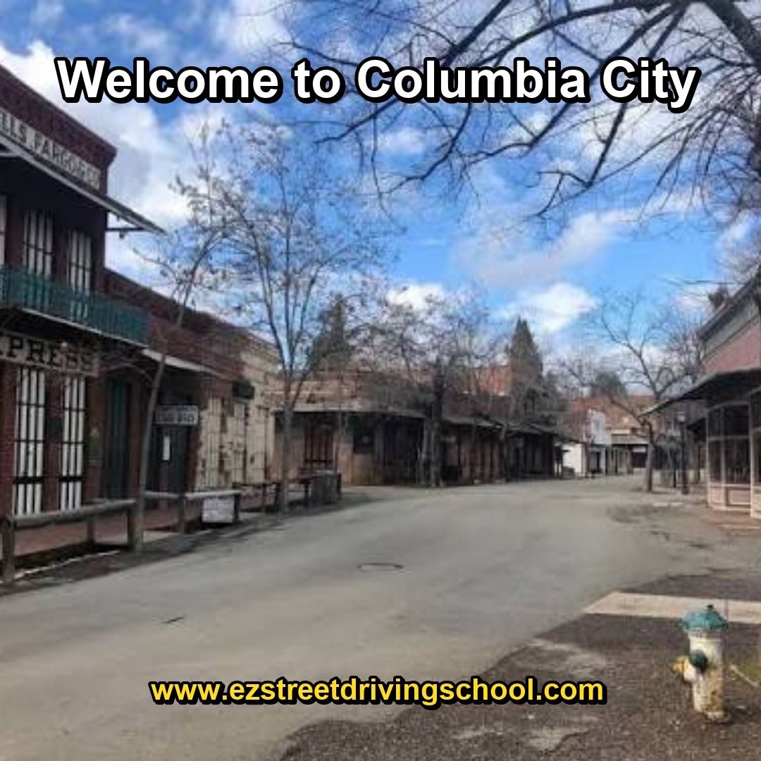 Driving Lessons in Columbia