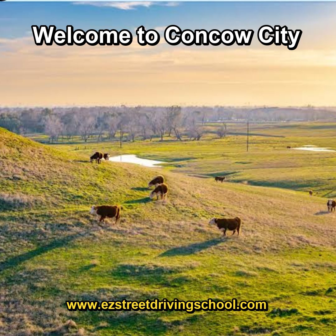 Driving Lessons in Concow