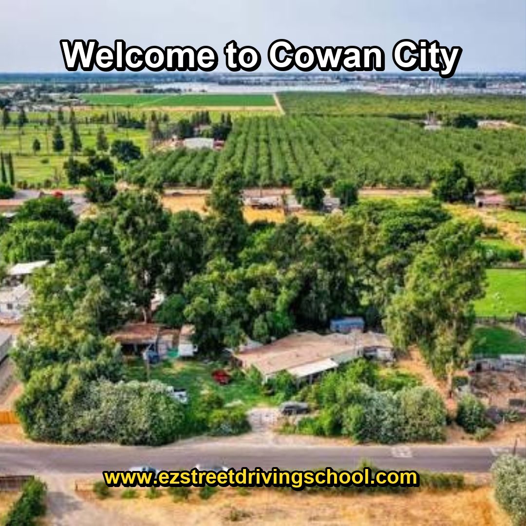 Driving Lessons in Cowan