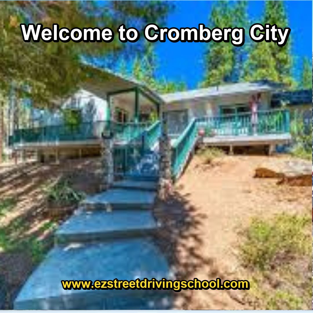 Driving Lessons in Cromberg