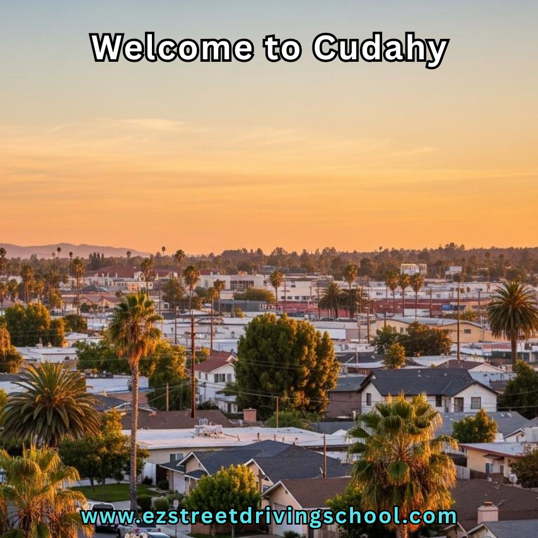 Driving Lessons in Cudahy