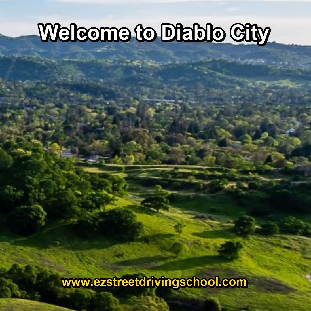 Driving Lessons in Diablo