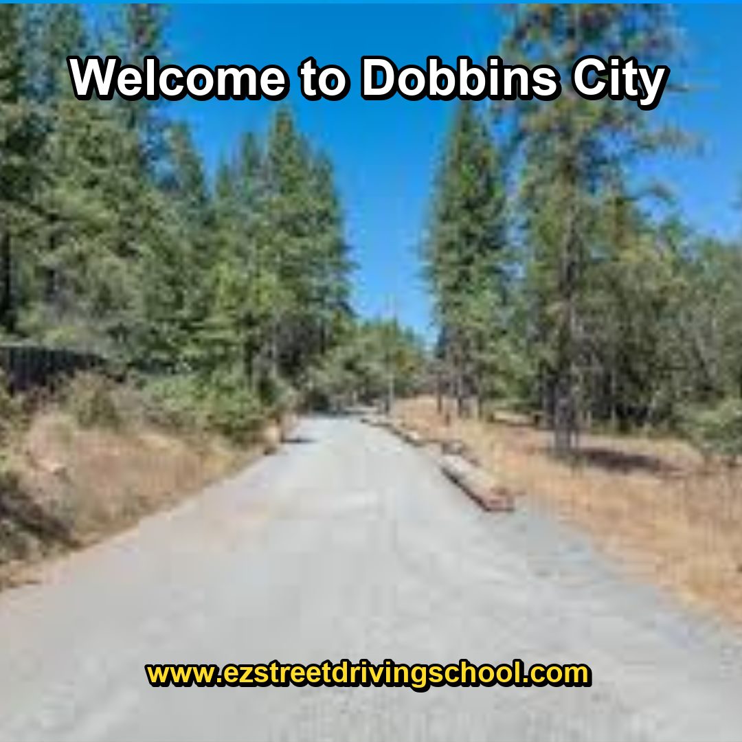 Driving Lessons in Dobbins