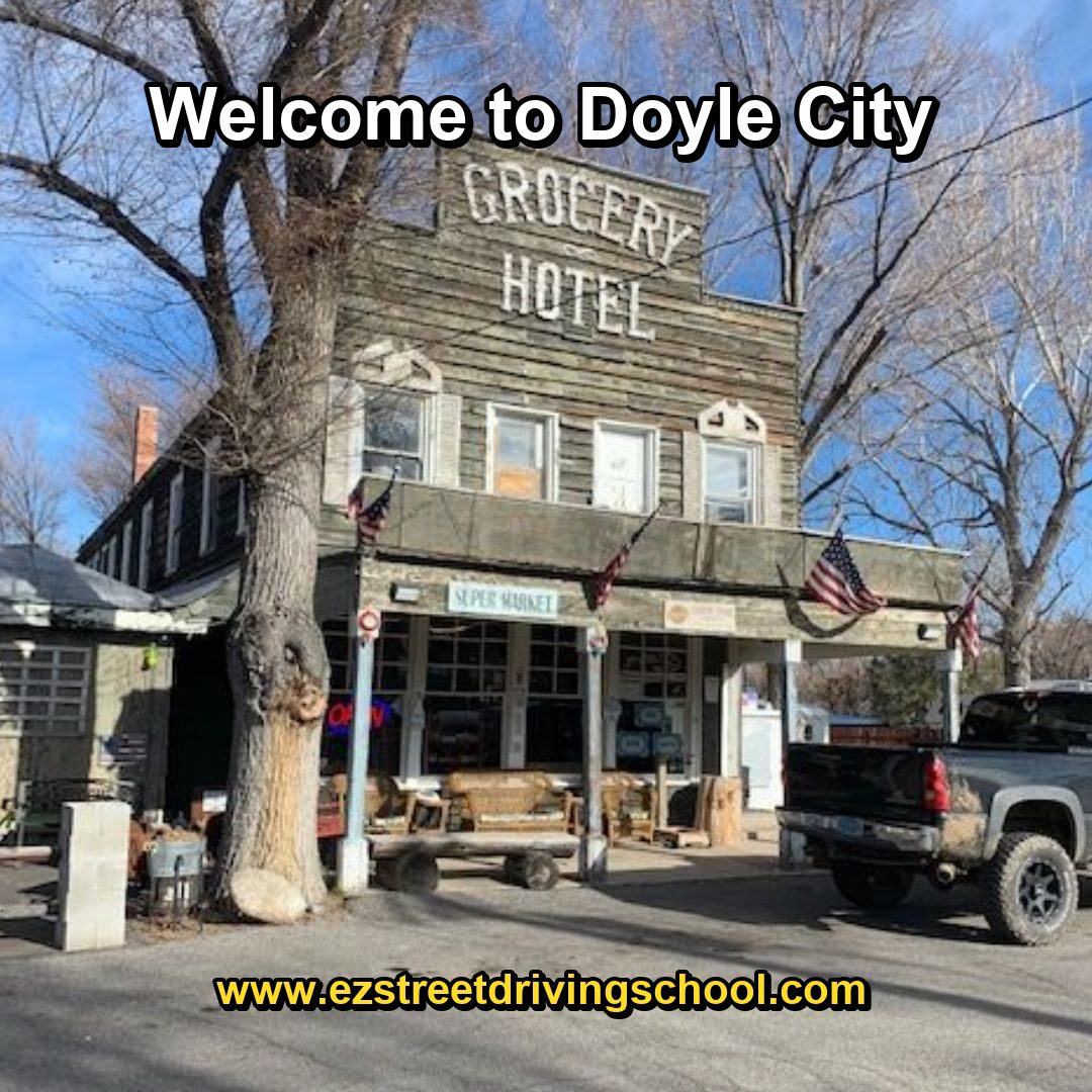 Driving Lessons in Doyle