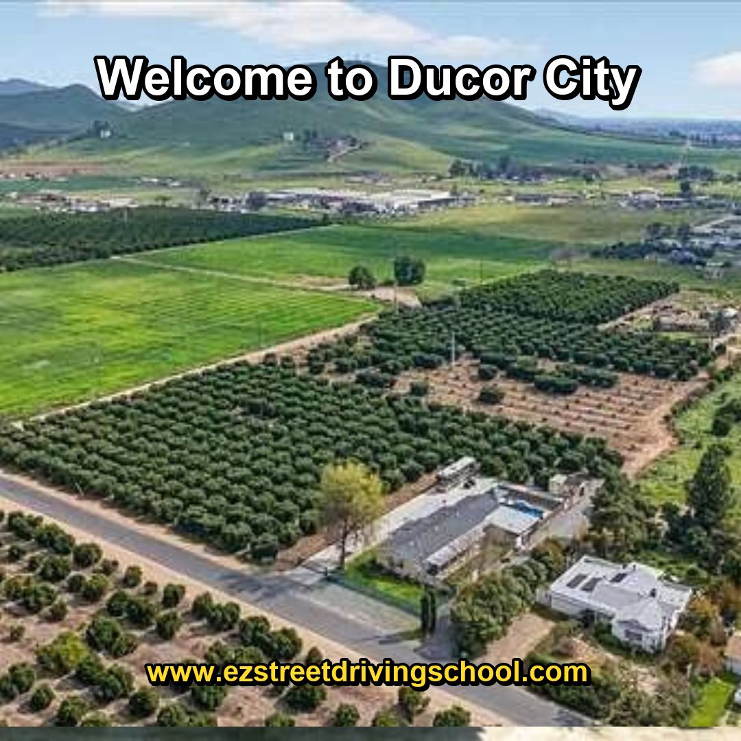 Driving Lessons in Ducor