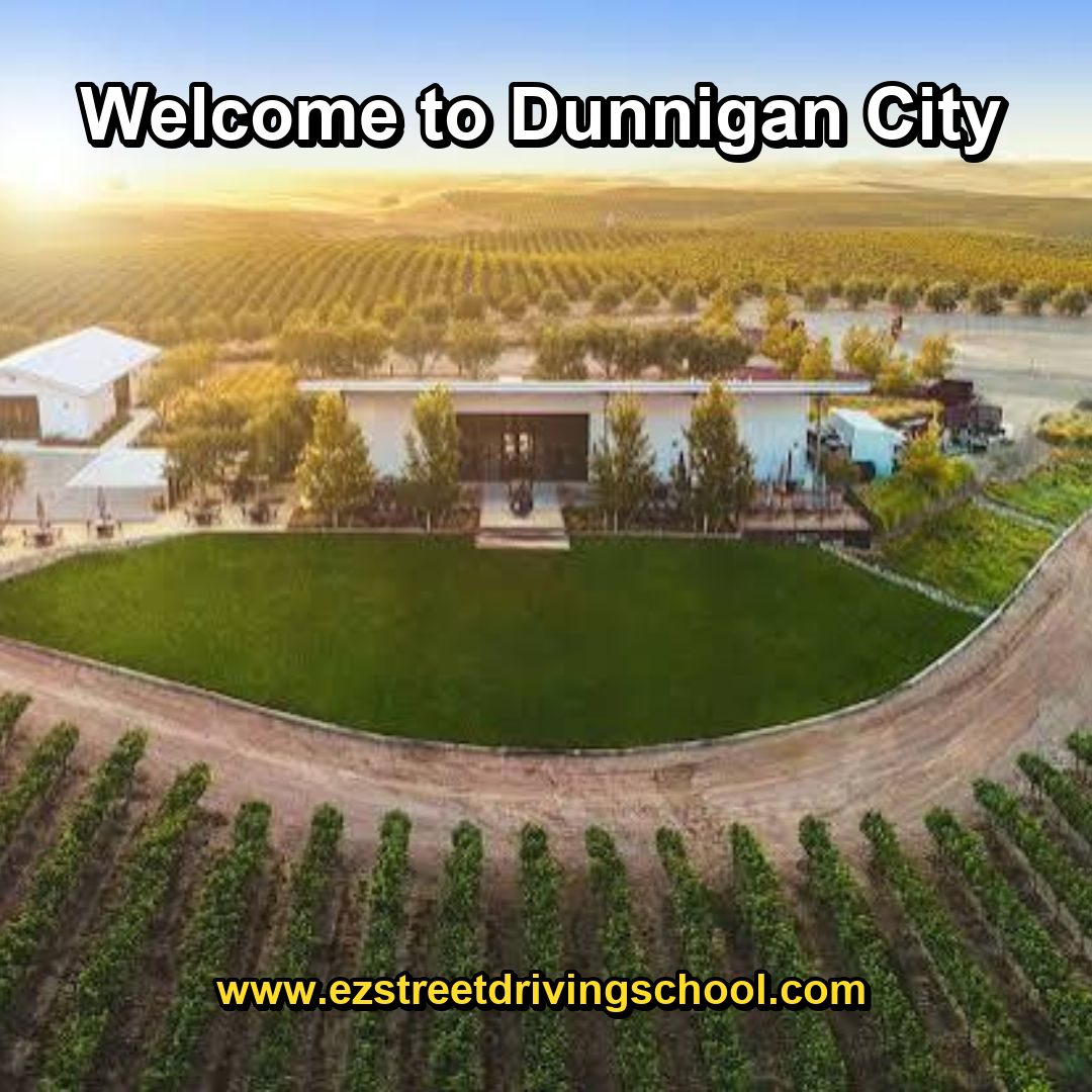 Driving Lessons in Dunnigan