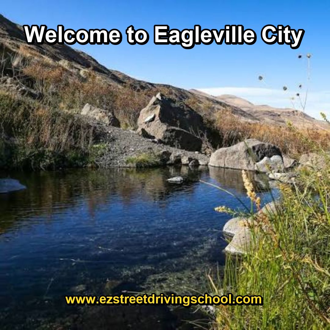 Driving Lessons in Eagleville
