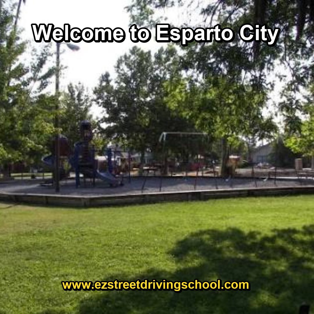 Driving Lessons in Esparto