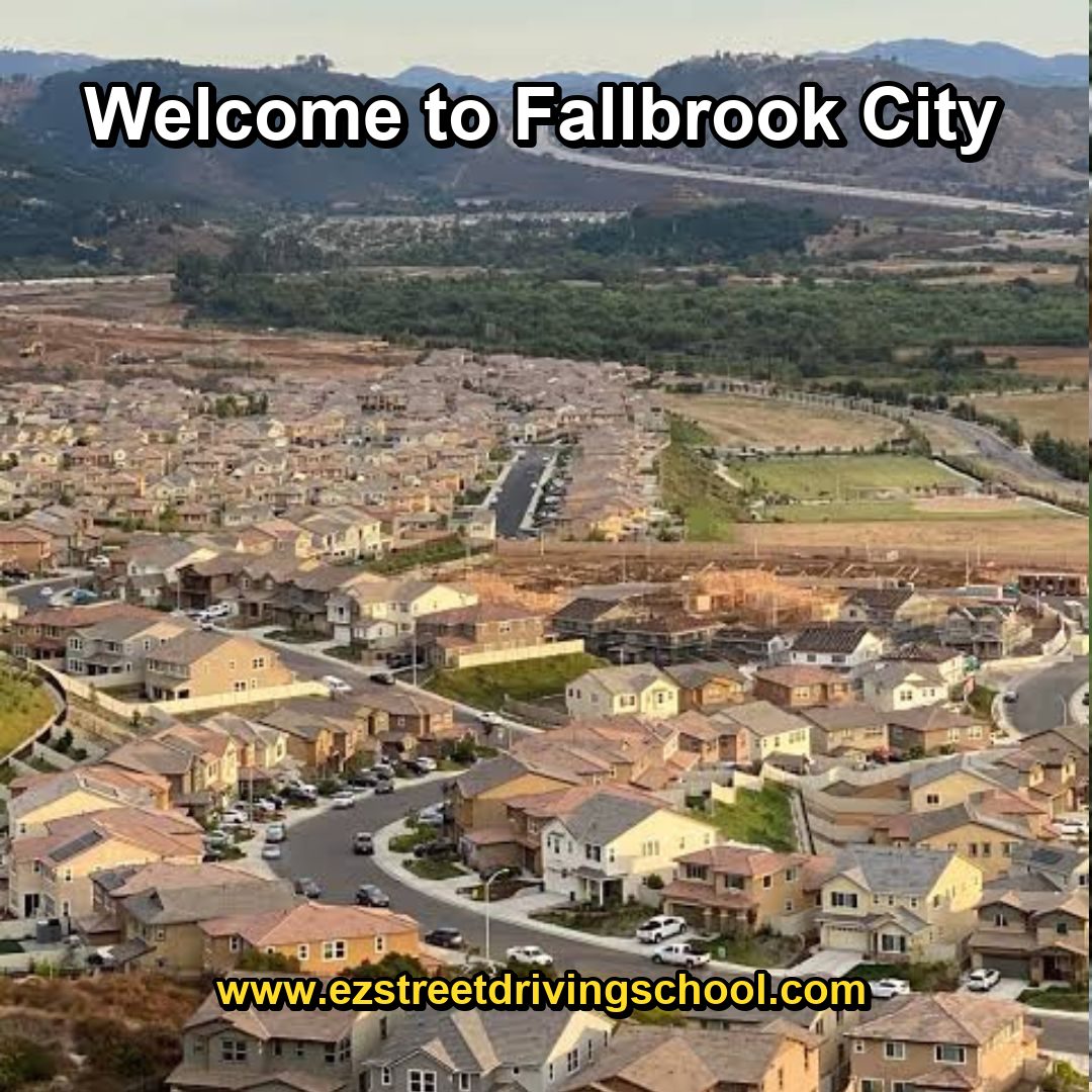 Driving Lessons in Fallbrook