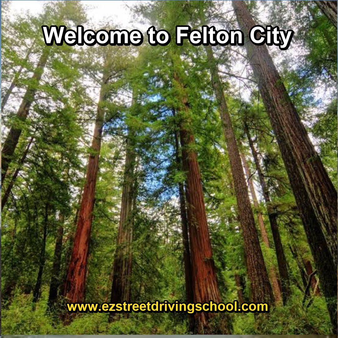 Driving Lessons in Felton
