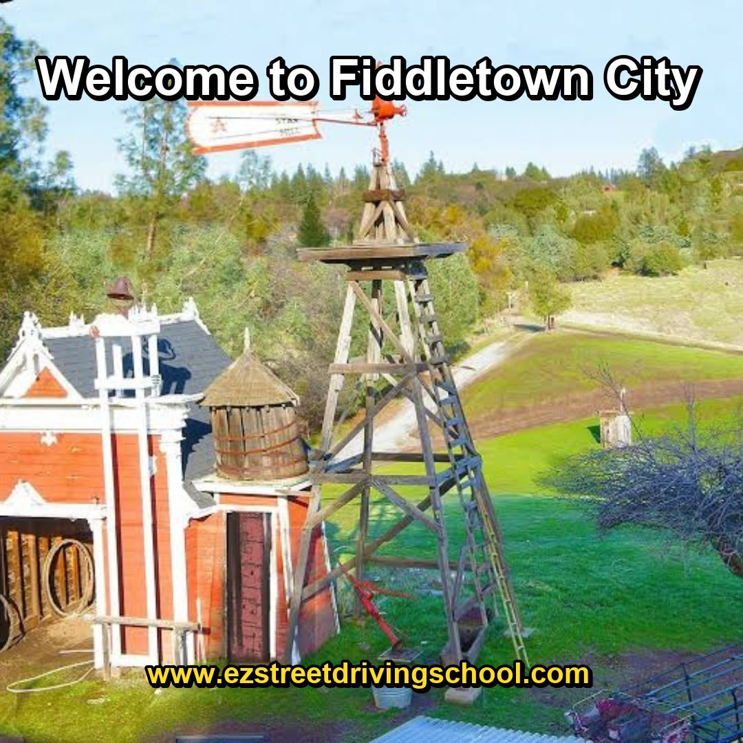 Driving Lessons in Fiddletown