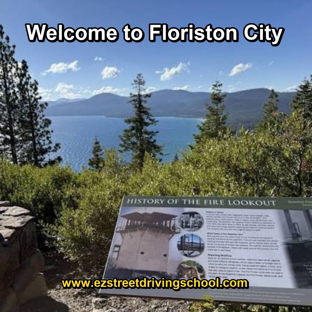 Driving Lessons in Floriston