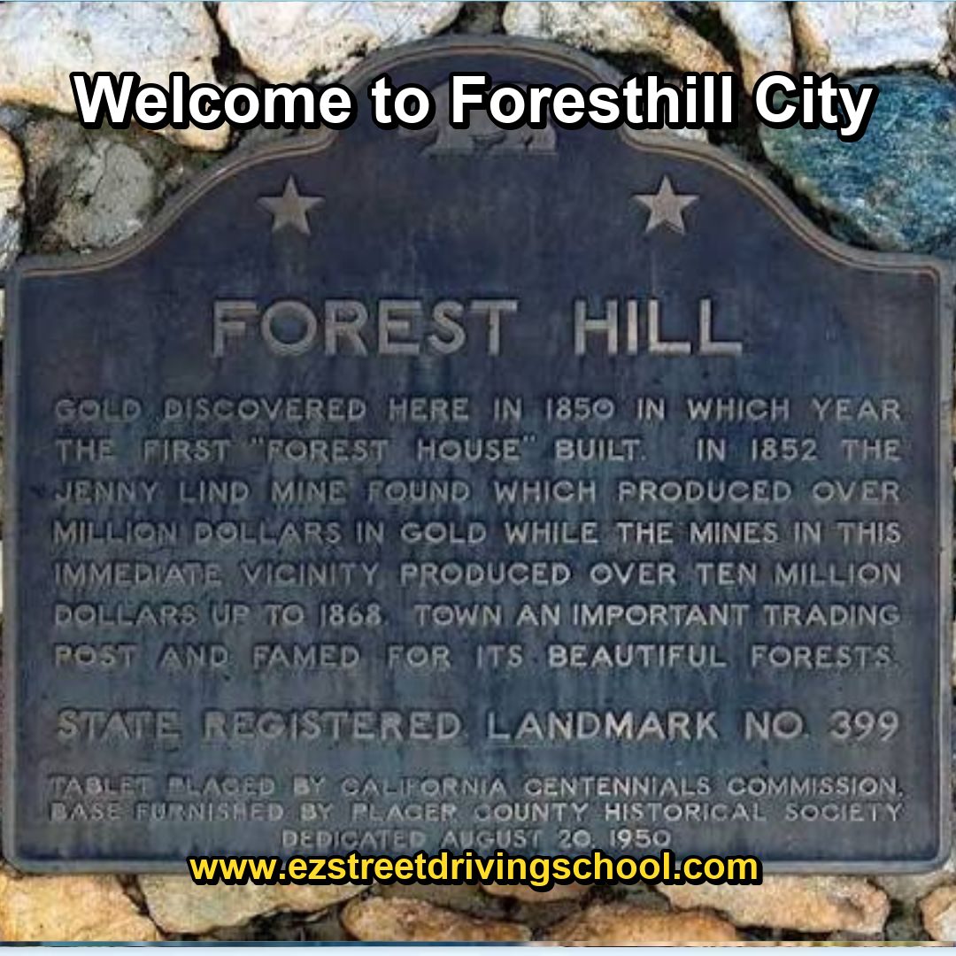 Driving Lessons in Foresthill