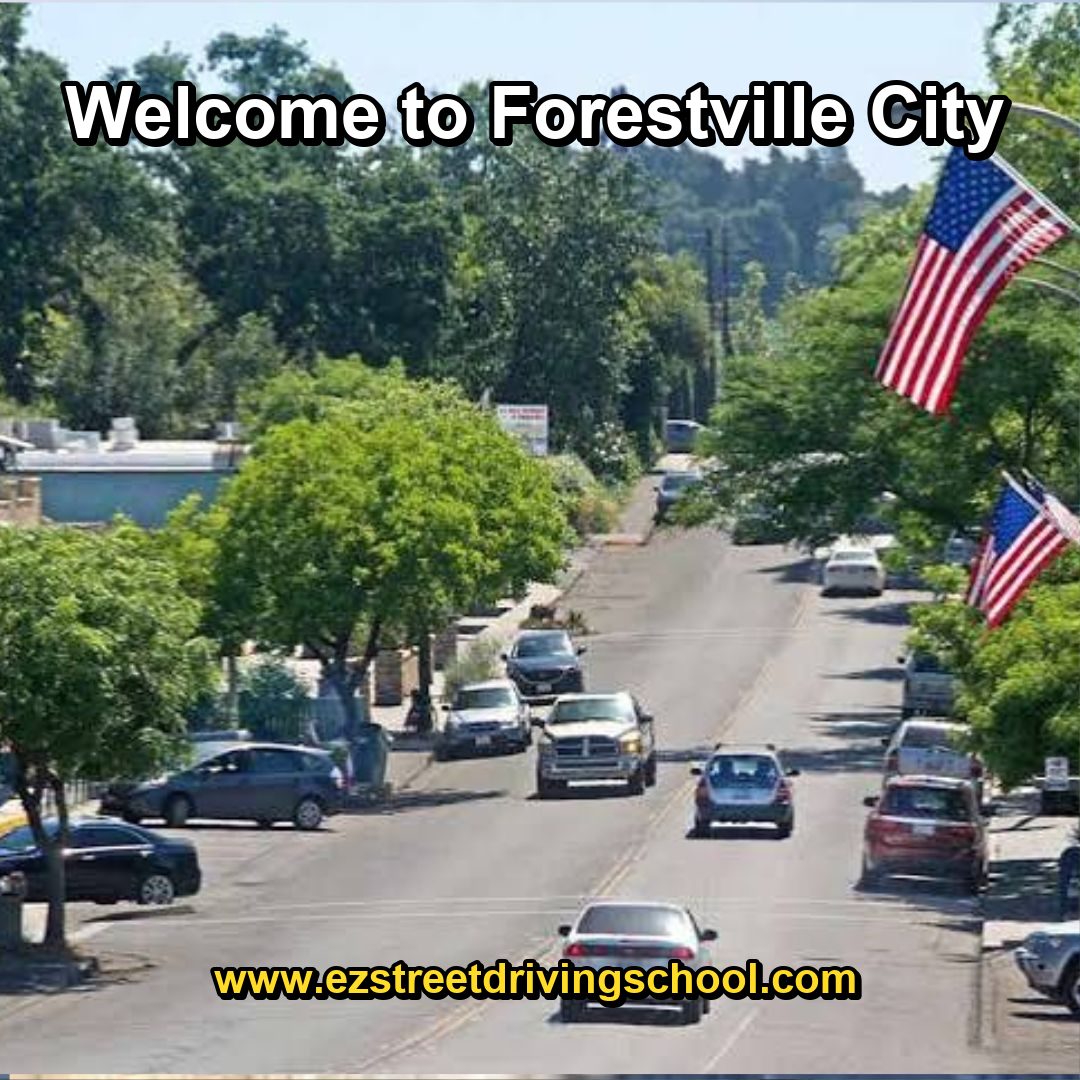 Driving Lessons in Forestville