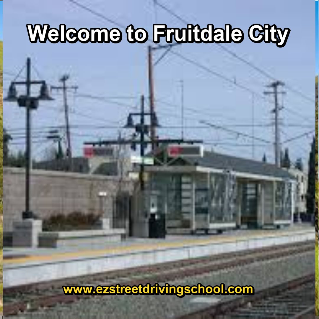 Driving Lessons in Fruitdale
