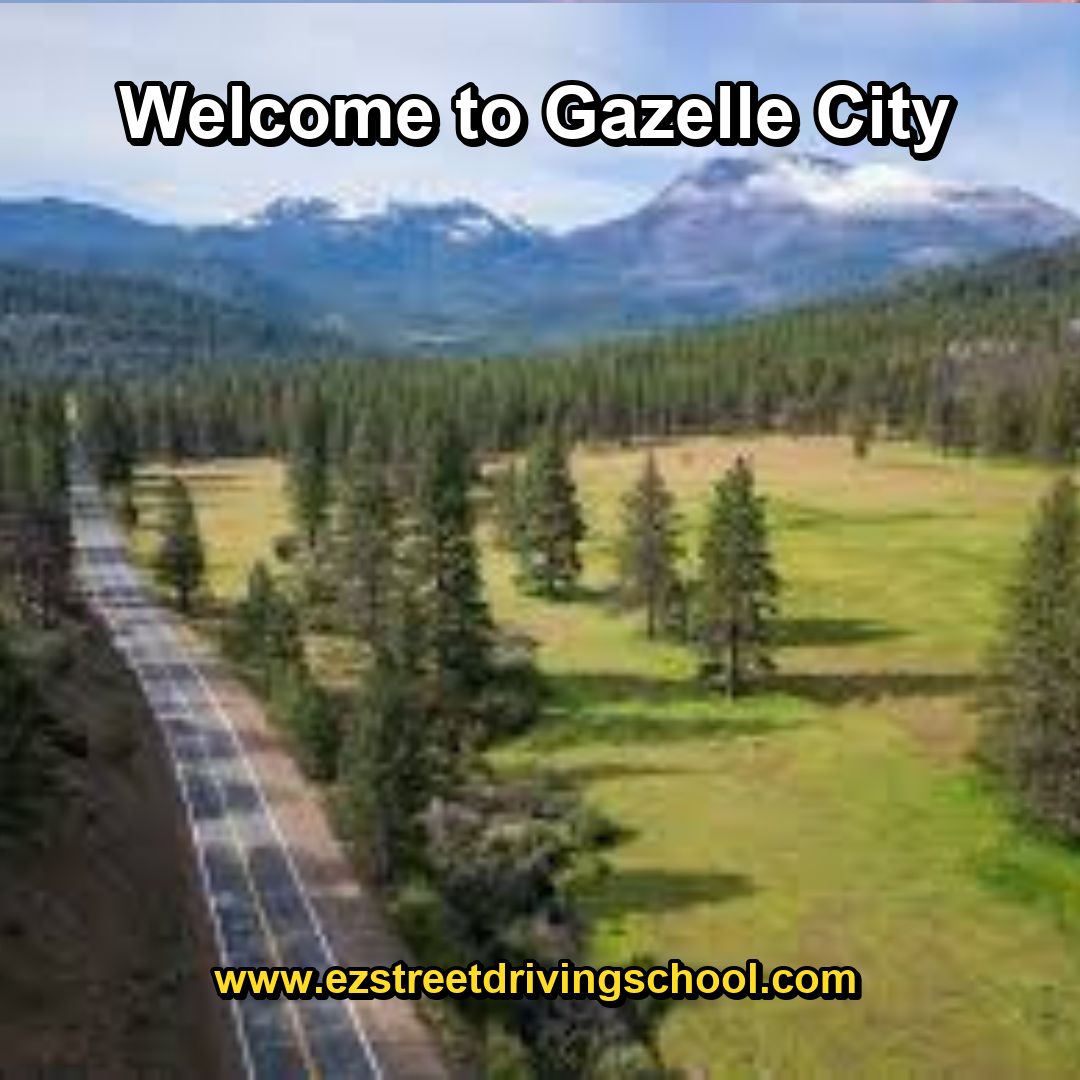 Driving Lessons in Gazelle