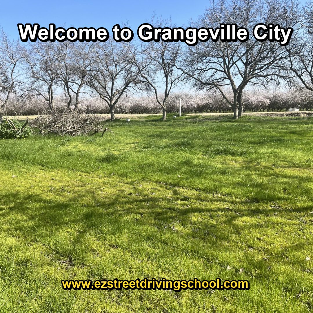 Driving Lessons in Grangeville