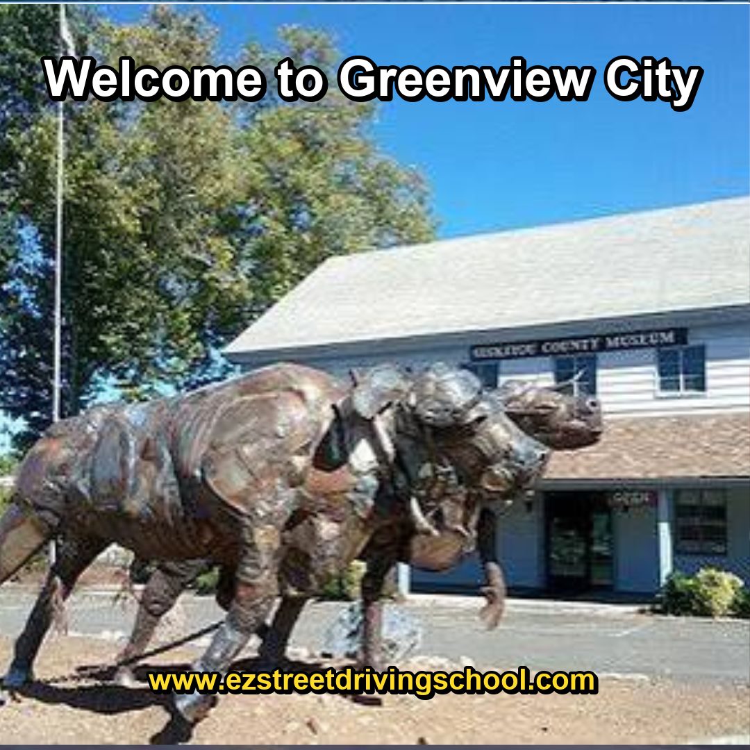 Driving Lessons in Greenview