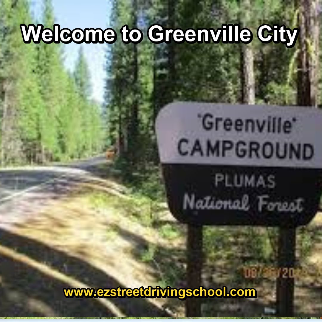 Driving Lessons in Greenville