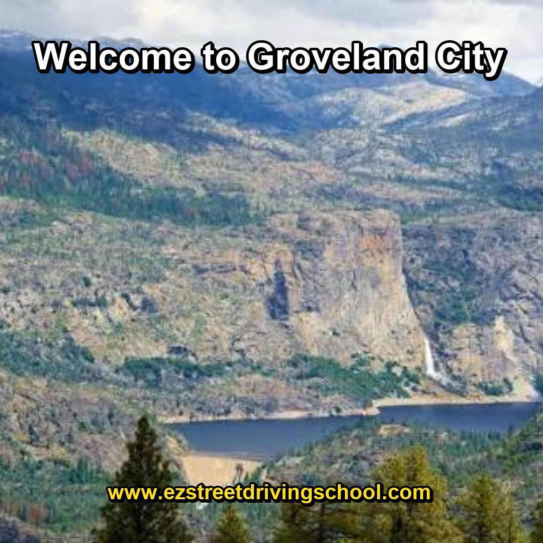 Driving Lessons in Groveland