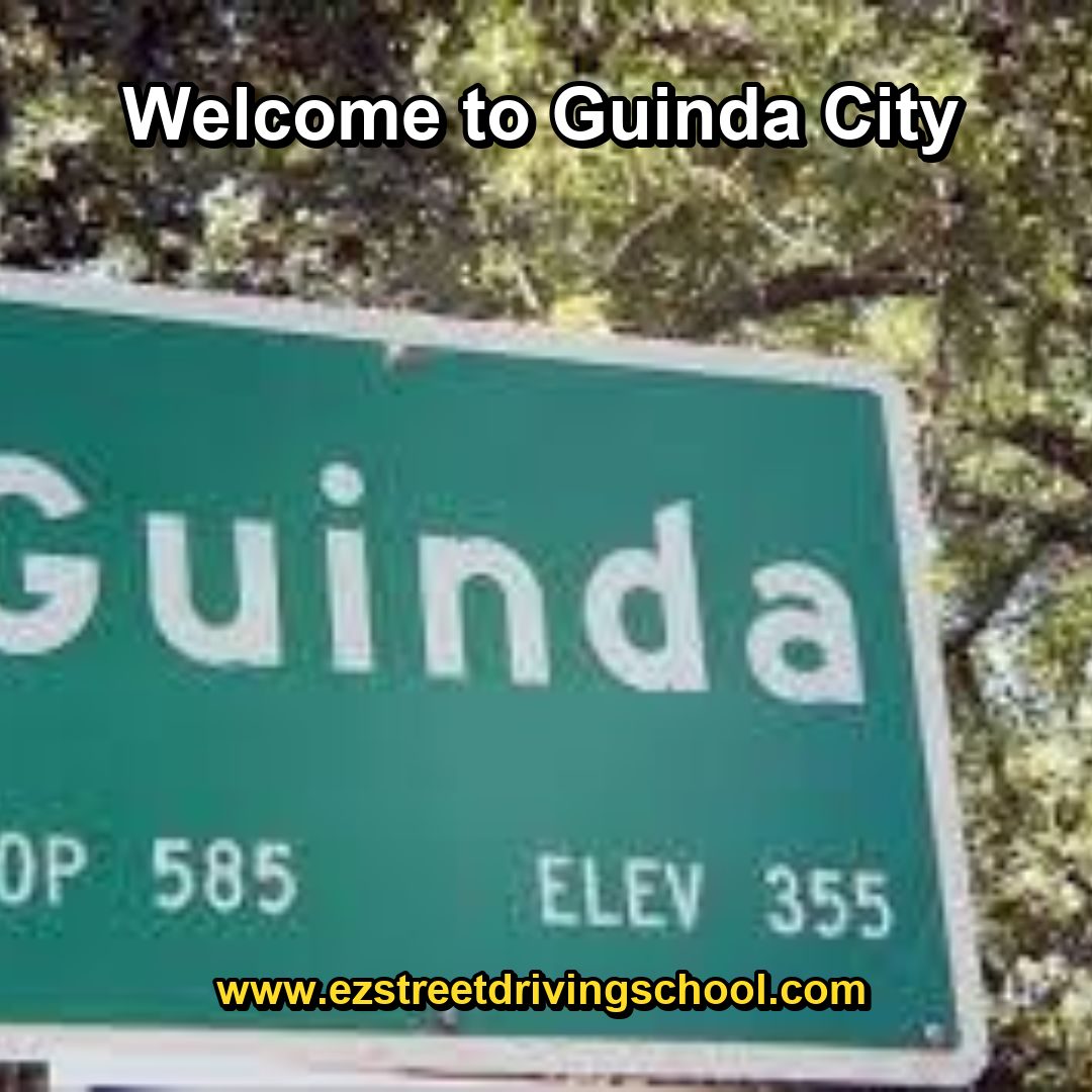 Driving Lessons in Guinda