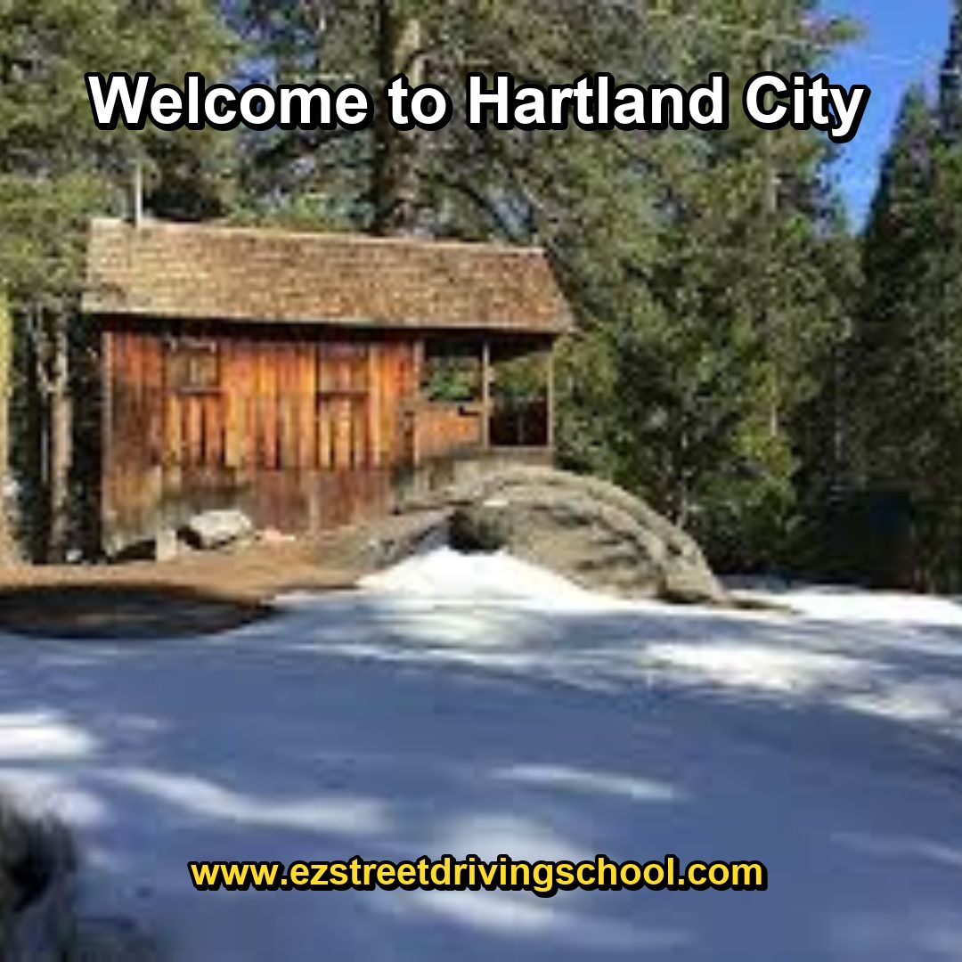 Driving Lessons in Hartland